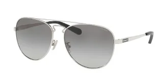 Coach Sunglasses HC7069 L1614