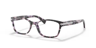 5548 Purple Tortoise