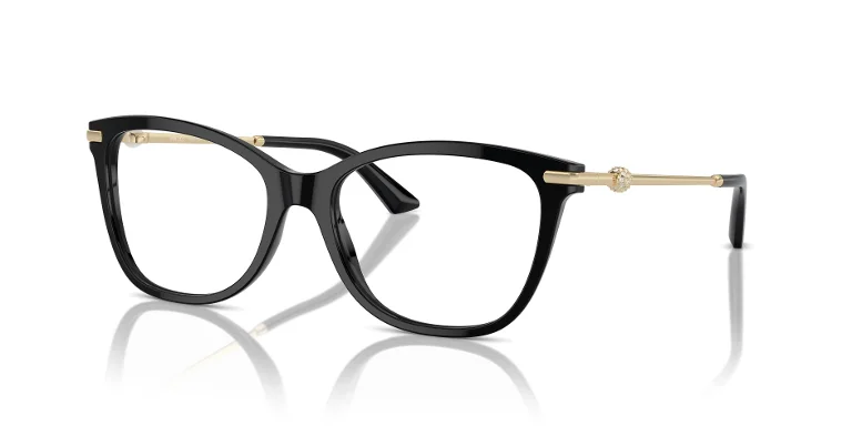 Jimmy Choo Eyeglasses JC3007HB