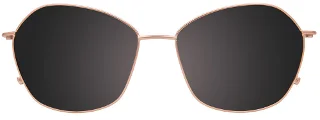 Takumi Eyeglasses TK1227
