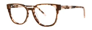 Umber Tortoise