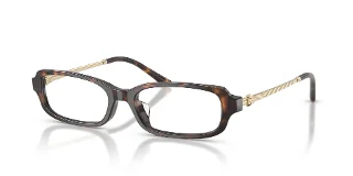1964 Dark Tortoise