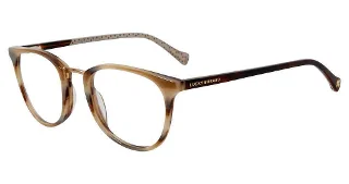 Brown Horn