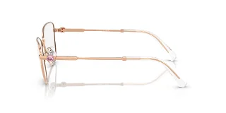 Swarovski Eyeglasses SK1018