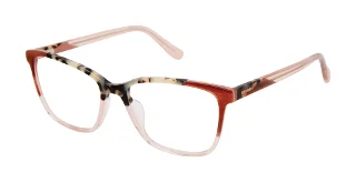 IVO Ivory Tortoise