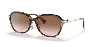512013 Dark Tortoise