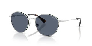908887 Brushed Silver