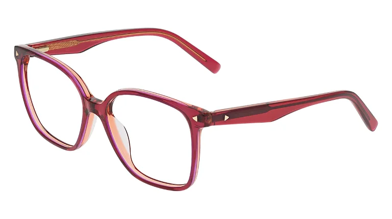Avio Eyeglasses AOV2317