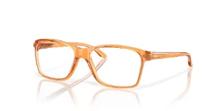 801009 Polished Transparent Ginger