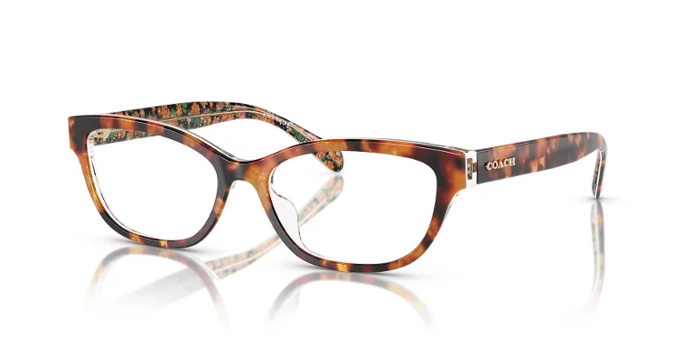 Coach Eyeglasses HC6250U