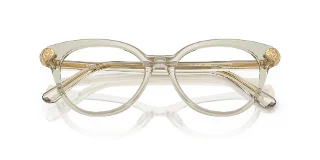 Swarovski Eyeglasses SK2046F