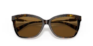 Coach Sunglasses HC8305