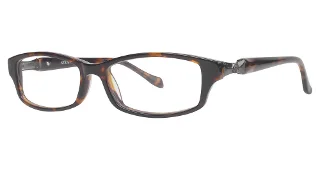 024 Tortoise