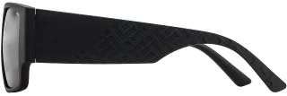 INVU Sunglasses INVU- 269