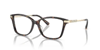 3006 Dark Tortoise