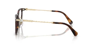 Swarovski Eyeglasses SK2041D