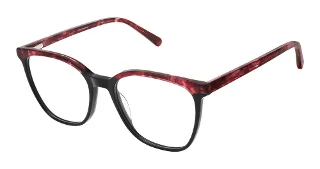 Steel + Tate Eyeglasses SLTA-0011