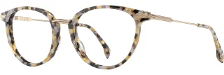 C03 Monarch Gold