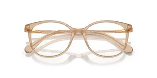 Swarovski Eyeglasses SK2002F