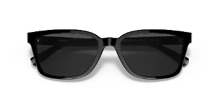 Coach Sunglasses HC8328U