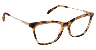 Tortoise Shell