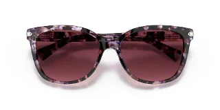 Coach Sunglasses HC8132