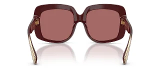 Dolce & Gabbana Sunglasses DG4557