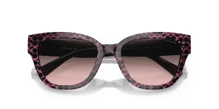 Coach Sunglasses HC8379F