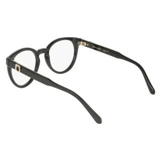 Salvatore Ferragamo Eyeglasses SF3032E