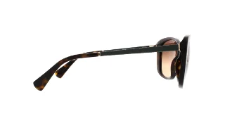 Cole Haan Sunglasses CH7005