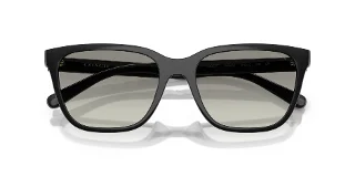 Coach Sunglasses HC8429D