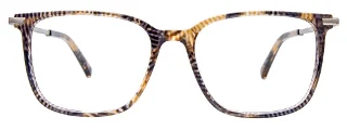 Easyclip Eyeglasses EC520