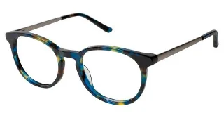 C02 Blue Tortoise