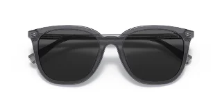 Coach Sunglasses HC8338U