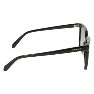 Salvatore Ferragamo Sunglasses SF2102S