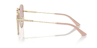 Jimmy Choo Sunglasses JC4006BD