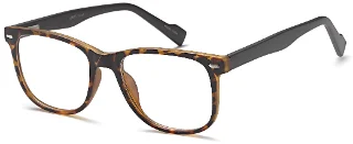 Tortoise Brown