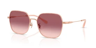 Coach Sunglasses HC7180D