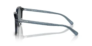 Coach Sunglasses HC8366