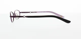 Polo Eyeglasses PP8015