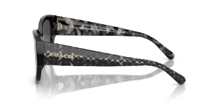 Coach Sunglasses HC8362U