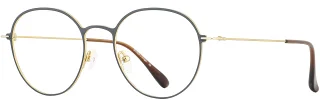 C02 Gray/Gold