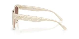 Coach Sunglasses HC8430D