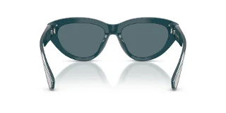 Dolce & Gabbana Sunglasses DG4558