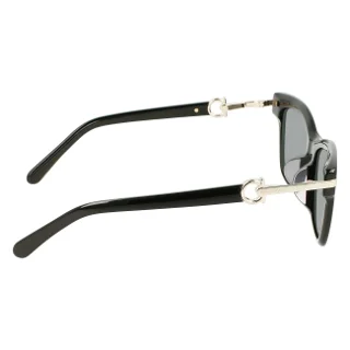 Salvatore Ferragamo Sunglasses SF2019SLB