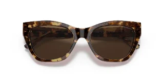 Emporio Armani Sunglasses EA4176
