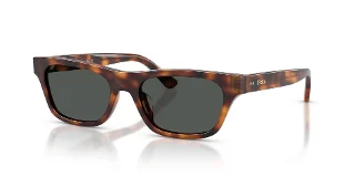 635587 Marrone Tartaruga