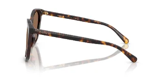 Coach Sunglasses HC8271U