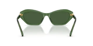 Swarovski Sunglasses SK6048F