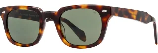C03 Tortoise